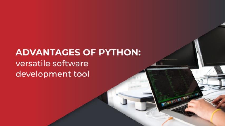 Why is Python One of The Most Versatile and Popular Languages?